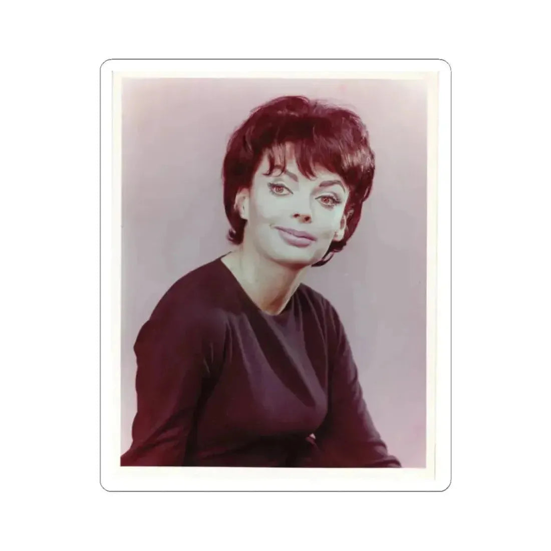 Barbara Steele #45 (Vintage Female Icon) STICKER Vinyl Kiss-Cut Decal 2 Inch White - The Sticker Space