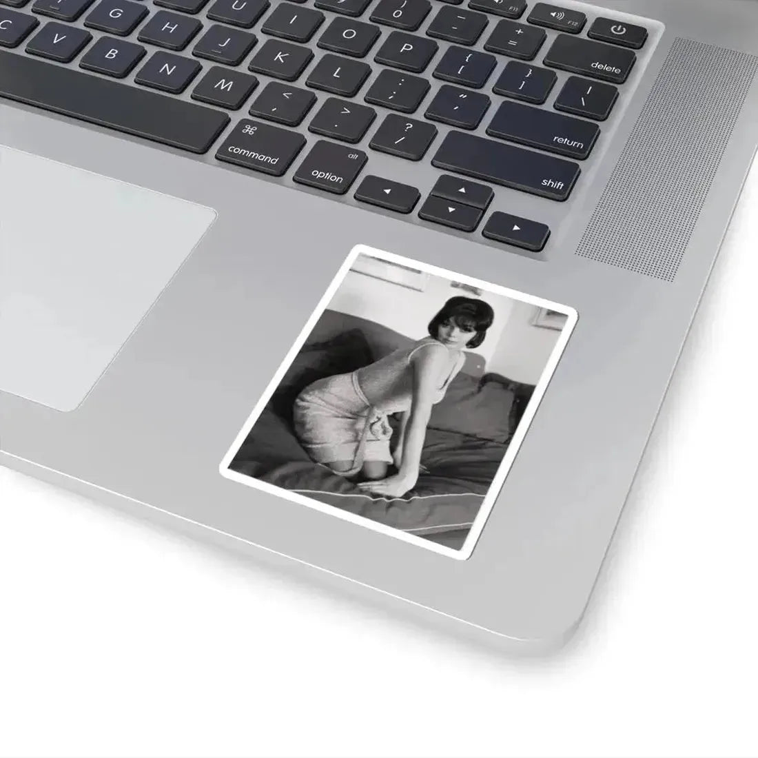 Barbara Steele #52 (Vintage Female Icon) STICKER Vinyl Kiss-Cut Decal - The Sticker Space