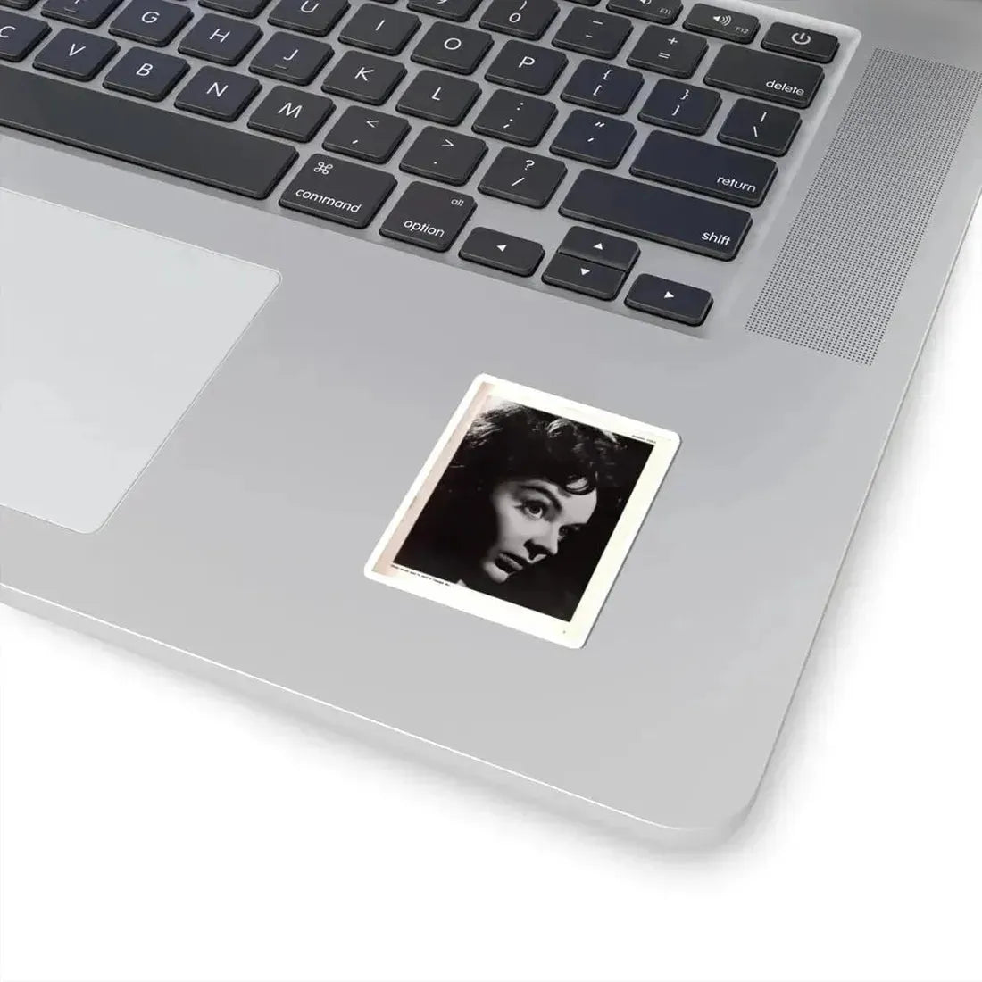 Barbara Steele #69 (Vintage Female Icon) STICKER Vinyl Kiss-Cut Decal - The Sticker Space
