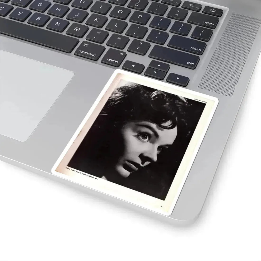 Barbara Steele #69 (Vintage Female Icon) STICKER Vinyl Kiss-Cut Decal - The Sticker Space