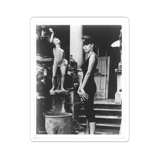 Barbara Steele #74 (Vintage Female Icon) STICKER Vinyl Kiss-Cut Decal 2 Inch White - The Sticker Space