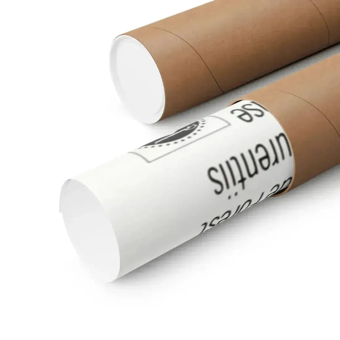 BARBARELLA - QUEEN OF THE GALAXY 1968 - Paper Movie Poster - The Sticker Space