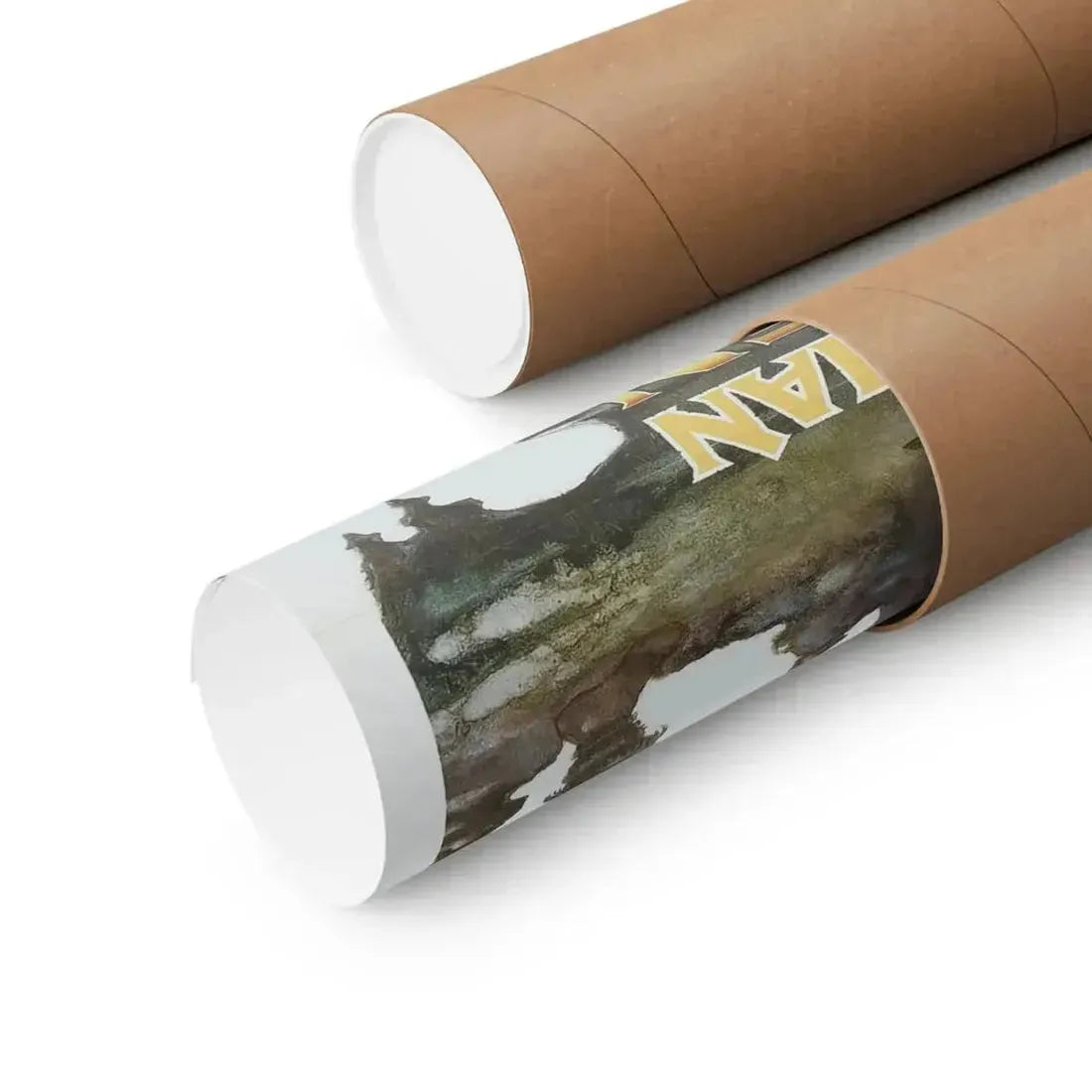 BARBARIAN QUEEN 1985 - Paper Movie Poster - The Sticker Space