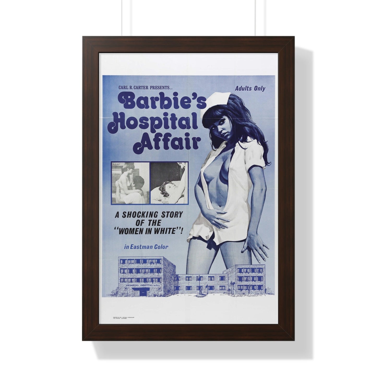 BARBIE'S HOSPITAL AFFAIR 1970 - Framed Movie Poster-16″ x 24″-The Sticker Space