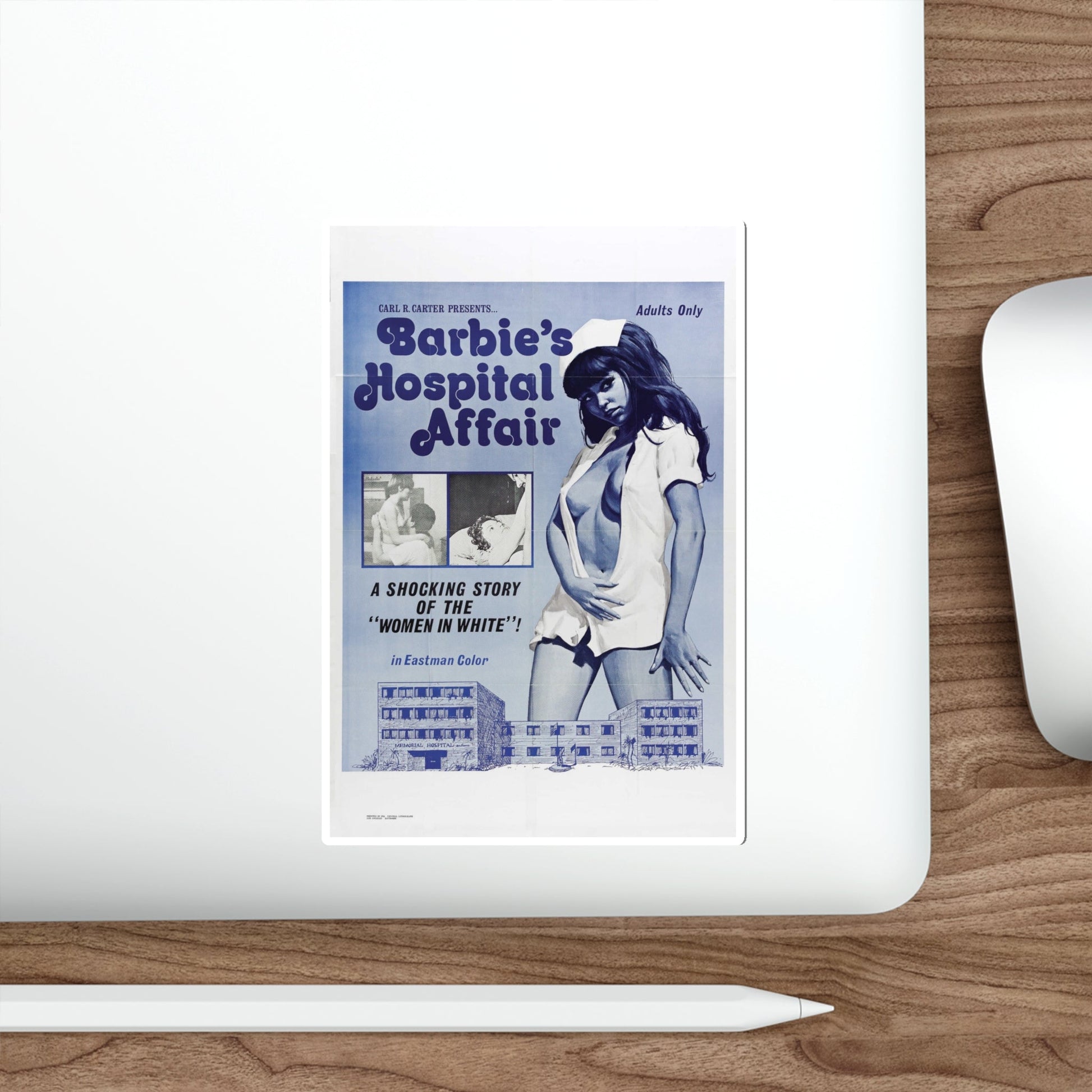 BARBIE'S HOSPITAL AFFAIR 1970 Movie Poster STICKER Vinyl Die-Cut Decal-The Sticker Space