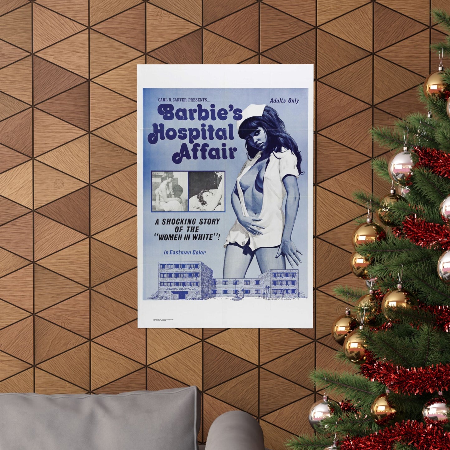 BARBIE'S HOSPITAL AFFAIR 1970 - Paper Movie Poster-The Sticker Space