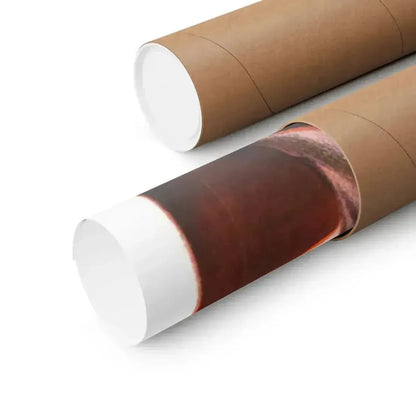 BATTLE IN OUTER SPACE (FRENCH) 1959 - Paper Movie Poster - The Sticker Space