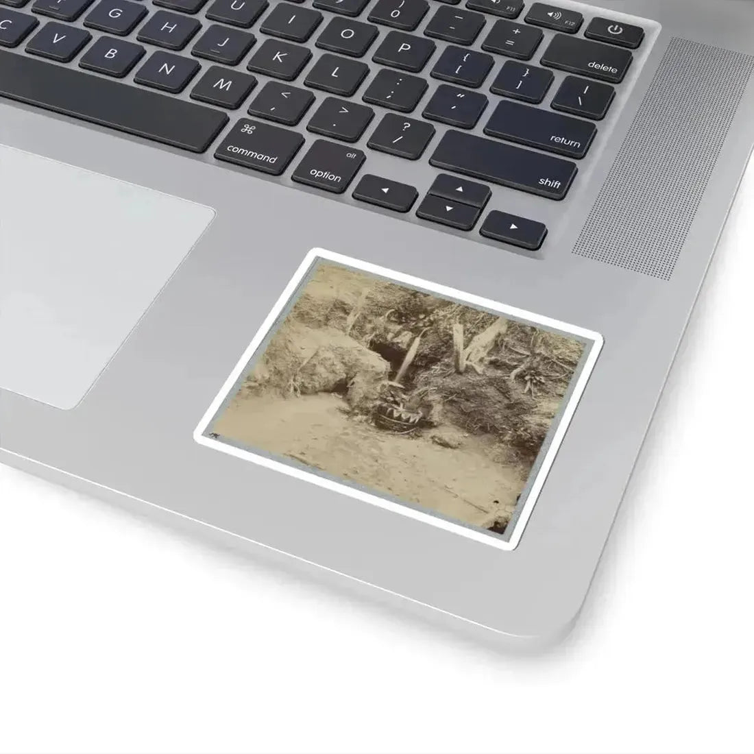 Battlefield of Chickasaw Bayou, Miss. The Poison Spring, February, 1864 (U.S. Civil War) STICKER Vinyl Kiss-Cut Decal - The Sticker Space