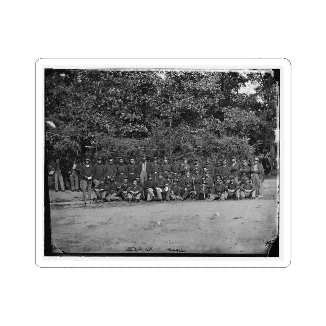 Bealeton, Virginia. Company D, 93D New York Infantry (U.S. Civil War) STICKER Vinyl Kiss-Cut Decal 4 Inch White - The Sticker Space