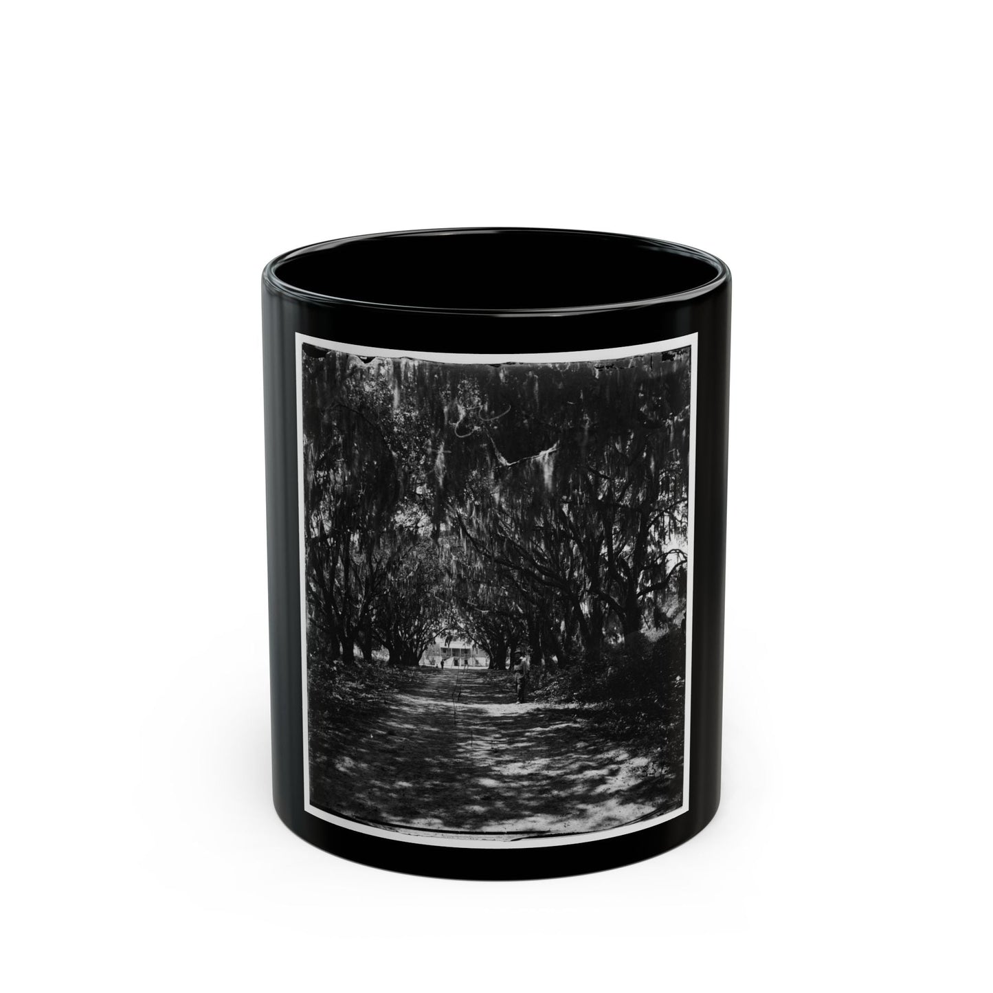 Beaufort, Port Royal Island, South Carolina. Live Oak Avenue Robert B. Rhett's Plantation (U.S. Civil War) Black Coffee Mug