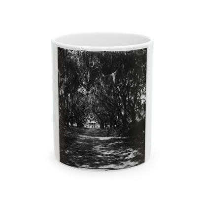 Beaufort, Port Royal Island, South Carolina. Live Oak Avenue Robert B. Rhett's Plantation (U.S. Civil War) White Coffee Mug