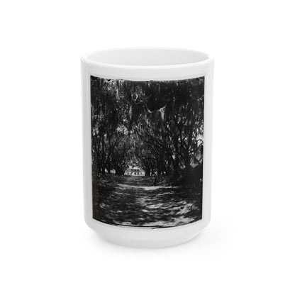 Beaufort, Port Royal Island, South Carolina. Live Oak Avenue Robert B. Rhett's Plantation (U.S. Civil War) White Coffee Mug