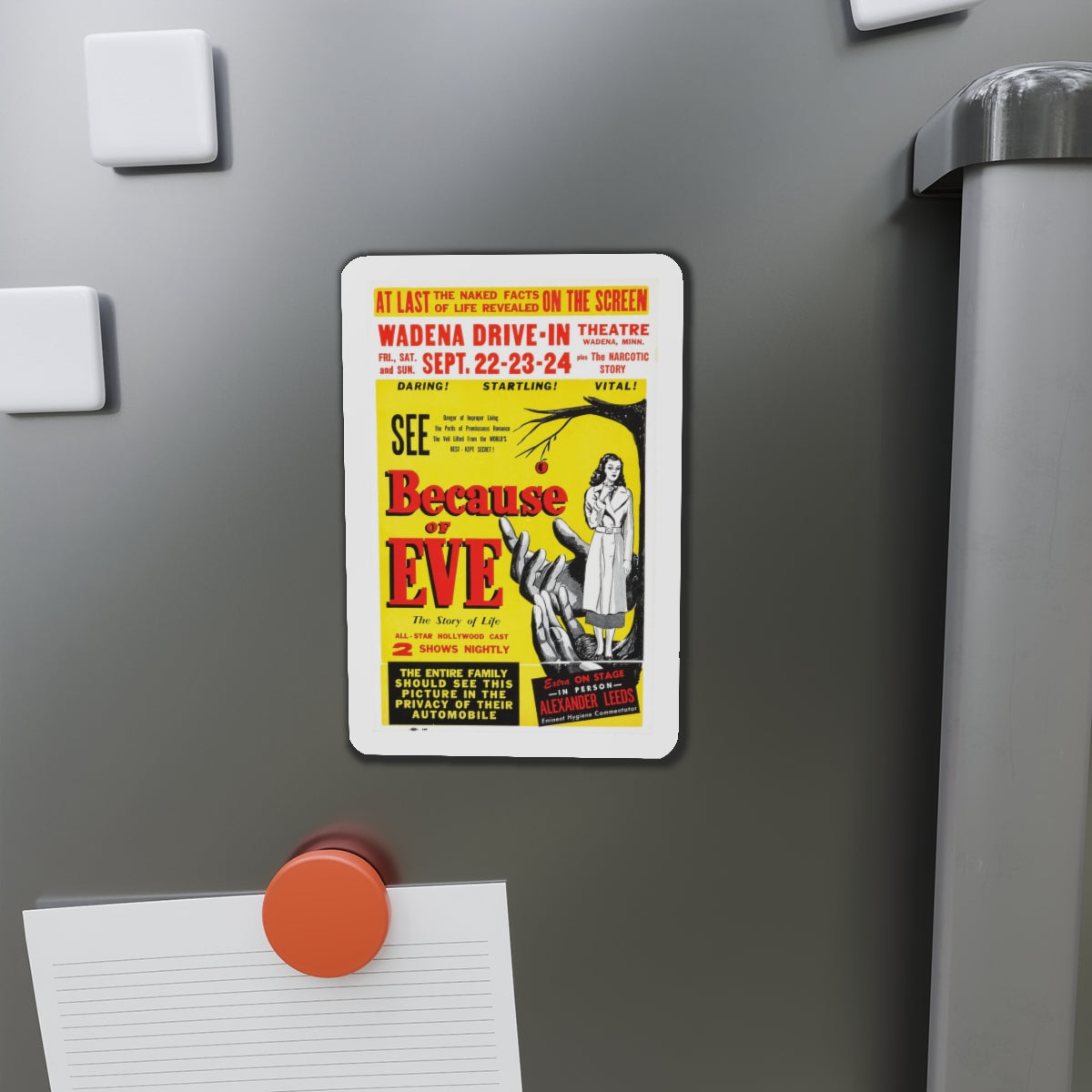 BECAUSE OF EVE 1948 Movie Poster - Die-Cut Magnet-The Sticker Space