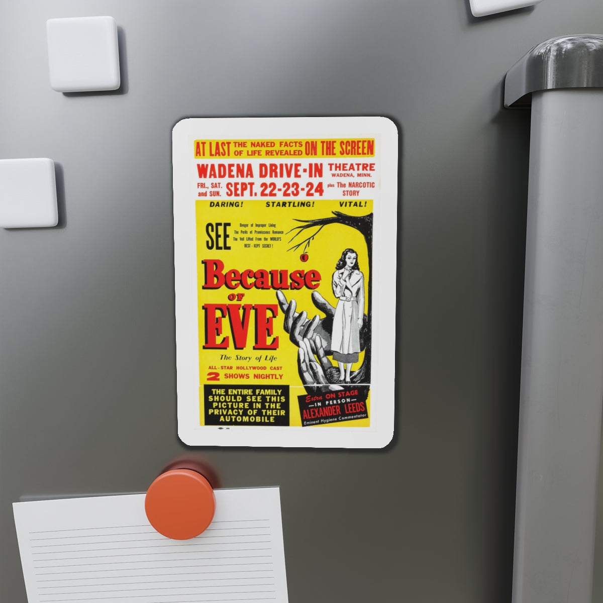 BECAUSE OF EVE 1948 Movie Poster - Die-Cut Magnet-The Sticker Space