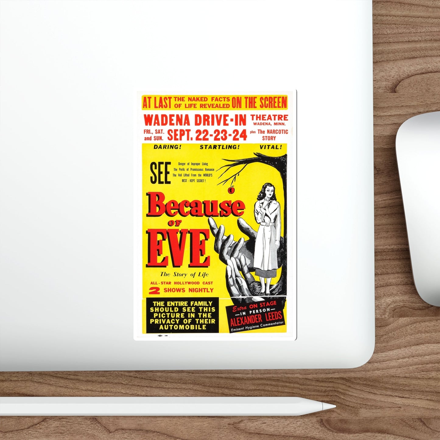 BECAUSE OF EVE 1948 Movie Poster STICKER Vinyl Die-Cut Decal-The Sticker Space