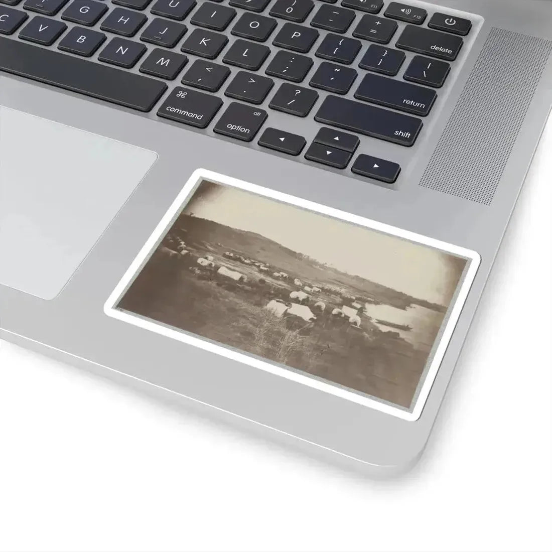 Belle Plain Landing, Va., Confederate Entrenchments on Hill 001 (U.S. Civil War) STICKER Vinyl Kiss-Cut Decal - The Sticker Space