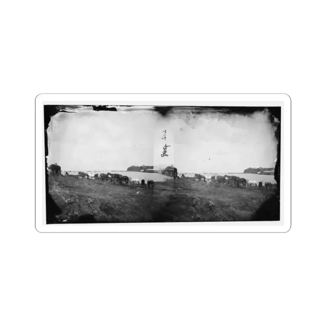 Belle Plain, Virginia. Encampment of 2Nd N.Y. And 1St Mass. Heavy Artillery (U.S. Civil War) STICKER Vinyl Kiss-Cut Decal 2 Inch White - The Sticker Space