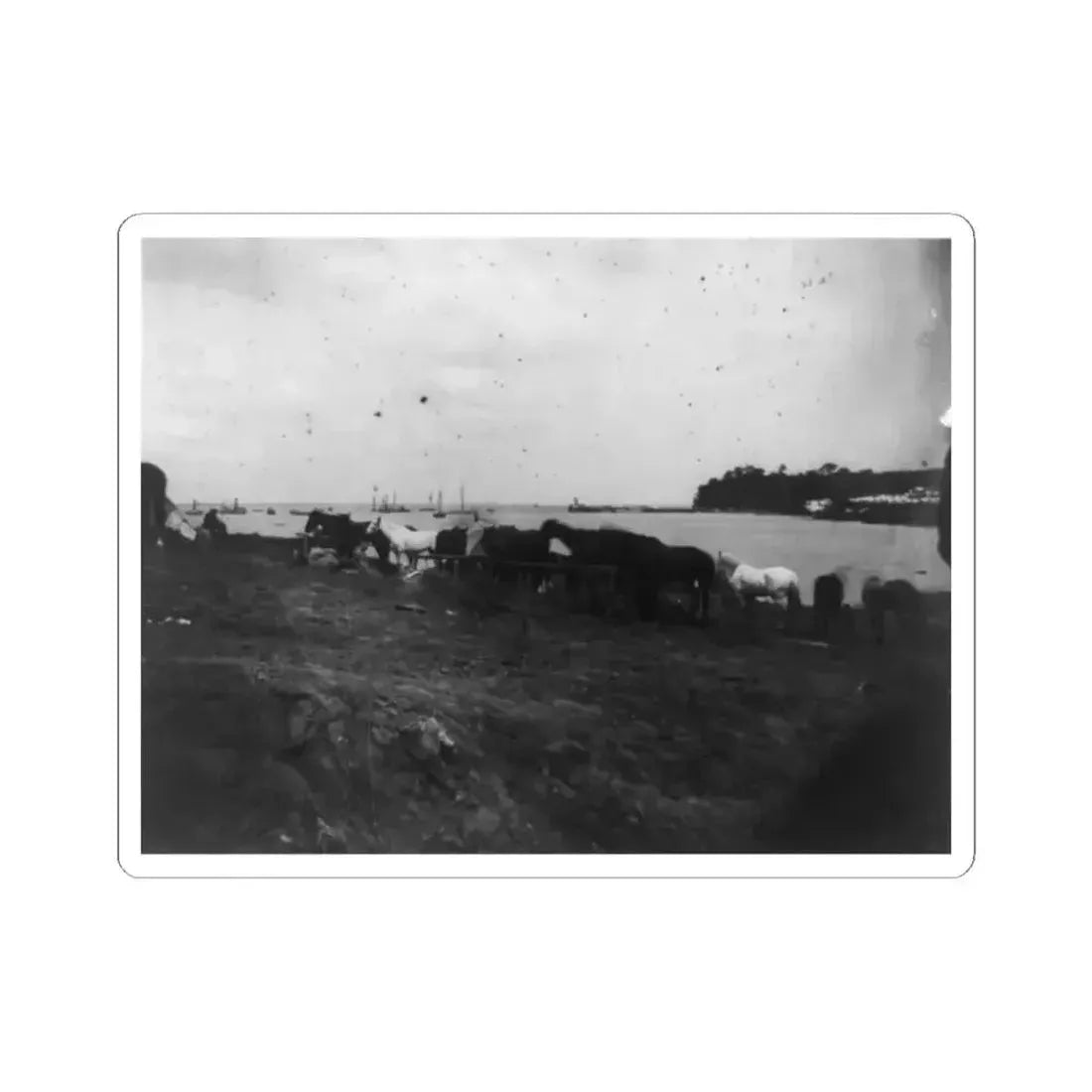 Belle Plains, Va., May 16, 1864, Encampment of 2Nd New York and 1St Massachusetts Heavy Artillery (U.S. Civil War) STICKER Vinyl Kiss-Cut Decal 2 Inch White - The Sticker Space