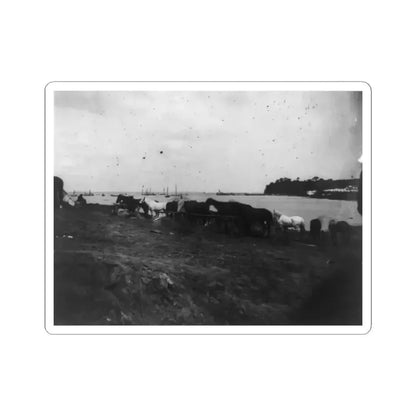 Belle Plains, Va., May 16, 1864, Encampment of 2Nd New York and 1St Massachusetts Heavy Artillery (U.S. Civil War) STICKER Vinyl Kiss-Cut Decal 4 Inch White - The Sticker Space