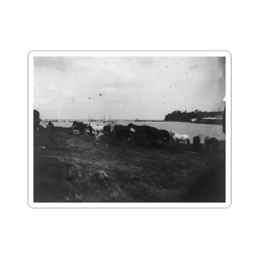 Belle Plains, Va., May 16, 1864, Encampment of 2Nd New York and 1St Massachusetts Heavy Artillery (U.S. Civil War) STICKER Vinyl Kiss-Cut Decal 6 Inch White - The Sticker Space