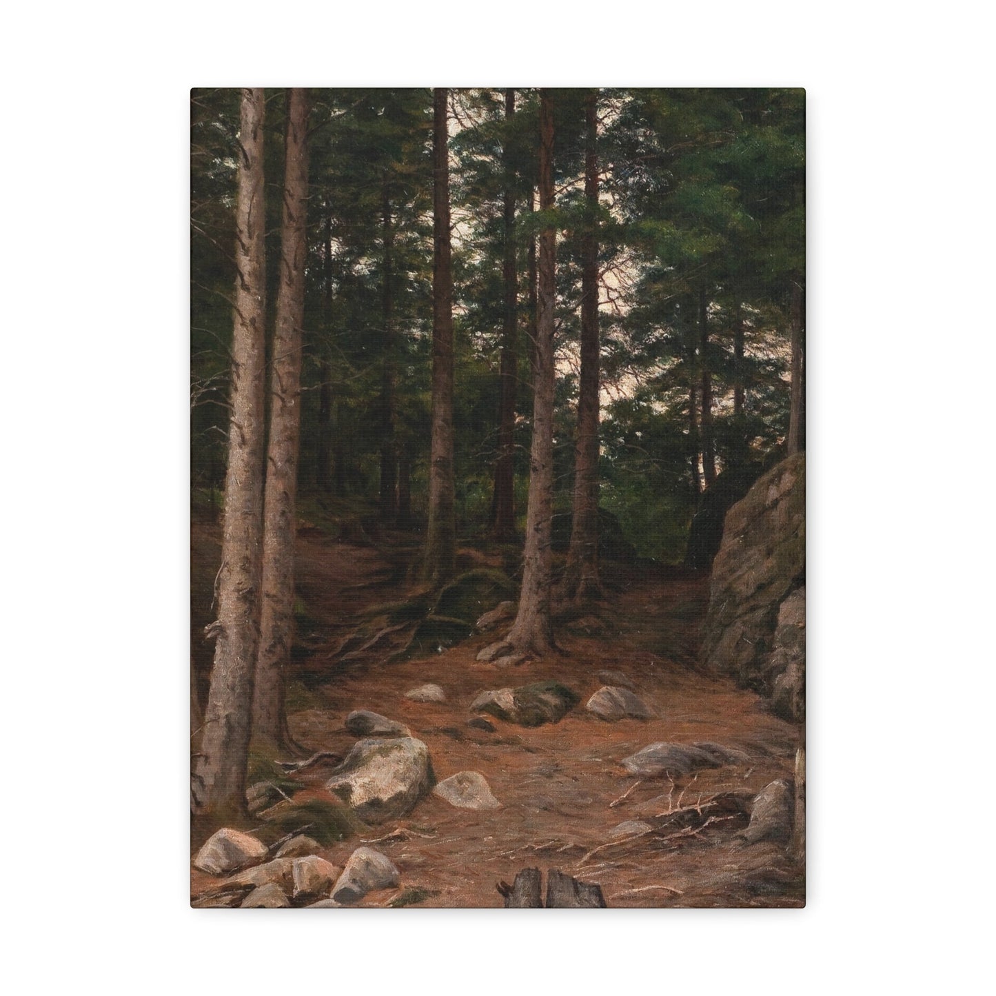 Berndt Lindholm (1841-1914) Sunset in the Forest - Canvas Wall Art-12″ x 16″-The Sticker Space