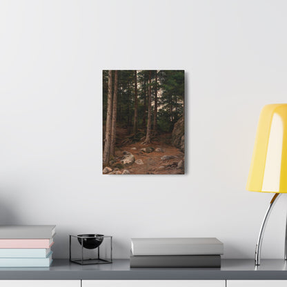 Berndt Lindholm (1841-1914) Sunset in the Forest - Canvas Wall Art-The Sticker Space