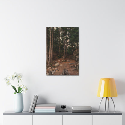 Berndt Lindholm (1841-1914) Sunset in the Forest - Canvas Wall Art-The Sticker Space