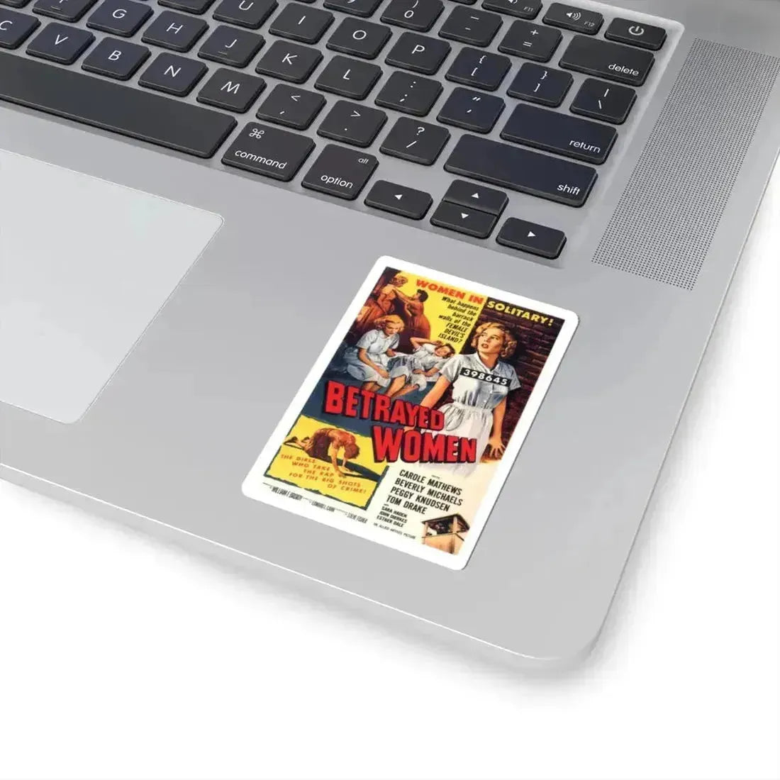 BETRAYED WOMEN 1955 Movie Poster - STICKER Vinyl Kiss-Cut Decal - The Sticker Space