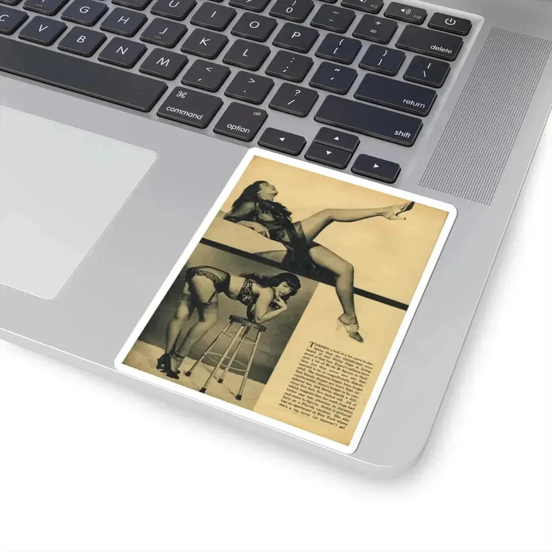 Bettie Page #1003 (Vintage Female Icon) STICKER Vinyl Kiss-Cut Decal - The Sticker Space