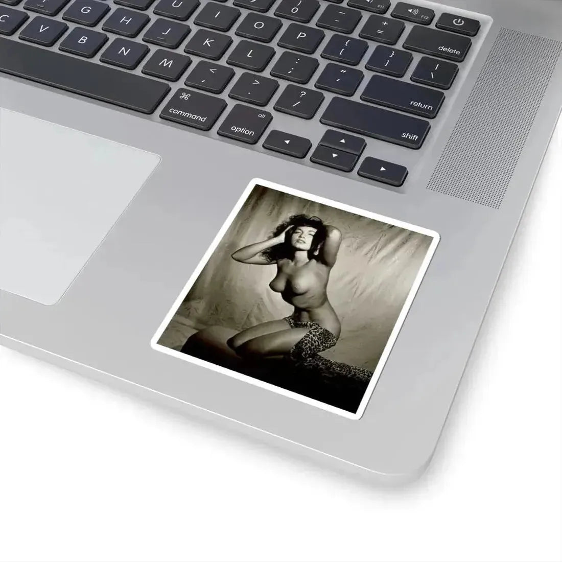 Bettie Page #105 (Vintage Female Icon) STICKER Vinyl Kiss-Cut Decal - The Sticker Space