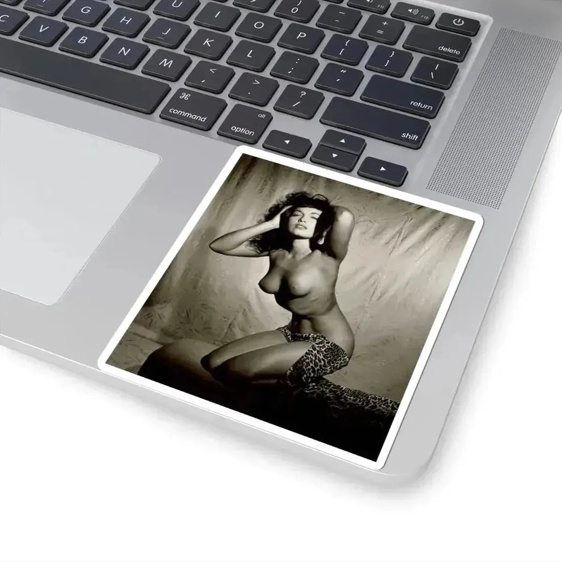Bettie Page #105 (Vintage Female Icon) STICKER Vinyl Kiss-Cut Decal - The Sticker Space