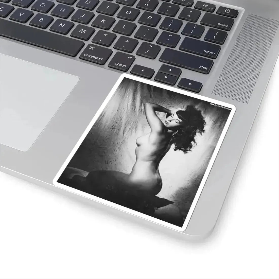 Bettie Page #148 (Vintage Female Icon) STICKER Vinyl Kiss-Cut Decal - The Sticker Space