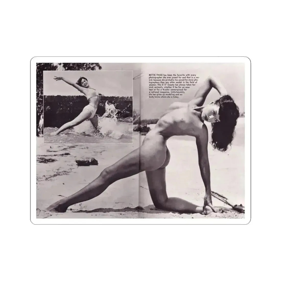 Bettie Page #172 (Vintage Female Icon) STICKER Vinyl Kiss-Cut Decal 3 Inch White - The Sticker Space