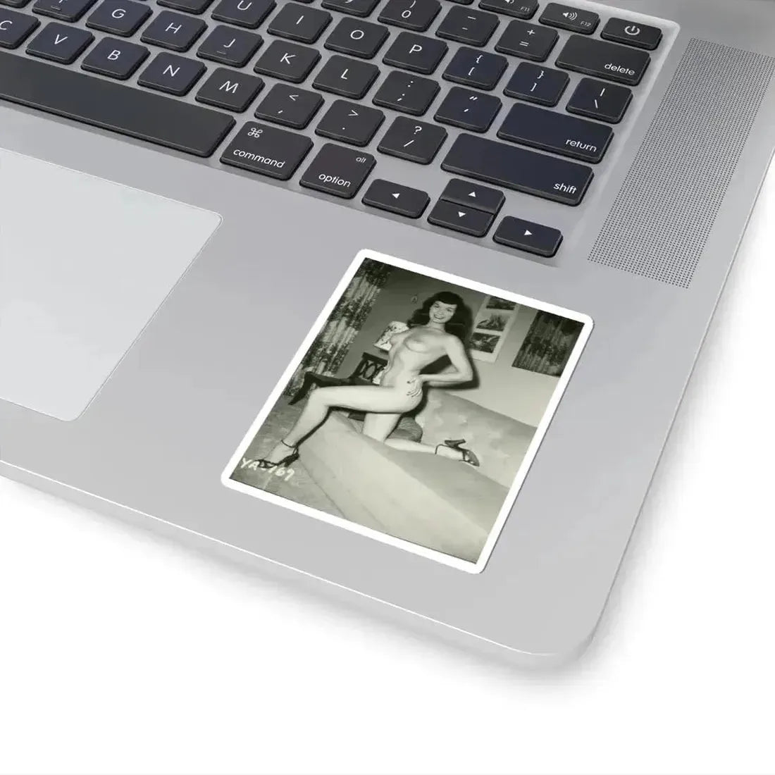 Bettie Page #207 (Vintage Female Icon) STICKER Vinyl Kiss-Cut Decal - The Sticker Space