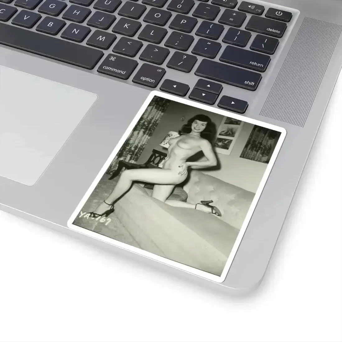 Bettie Page #207 (Vintage Female Icon) STICKER Vinyl Kiss-Cut Decal - The Sticker Space