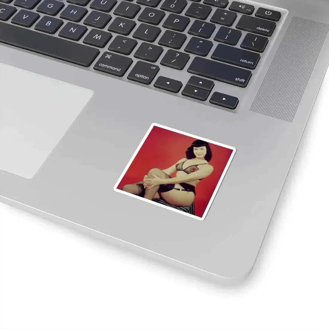 Bettie Page #208 (Vintage Female Icon) STICKER Vinyl Kiss-Cut Decal - The Sticker Space