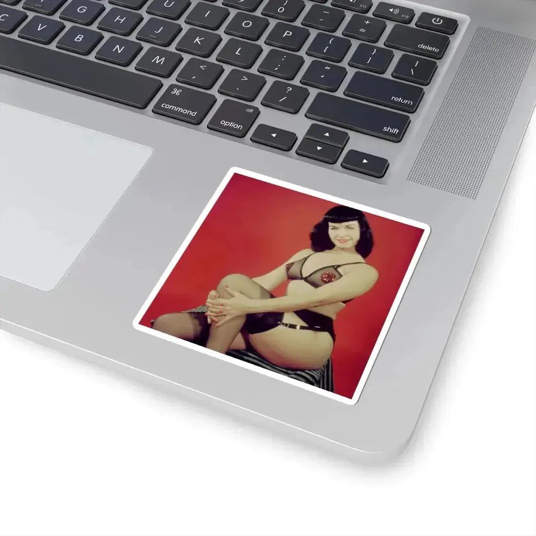 Bettie Page #208 (Vintage Female Icon) STICKER Vinyl Kiss-Cut Decal - The Sticker Space