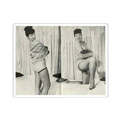 Bettie Page #242 (Vintage Female Icon) STICKER Vinyl Kiss-Cut Decal 6 Inch White - The Sticker Space