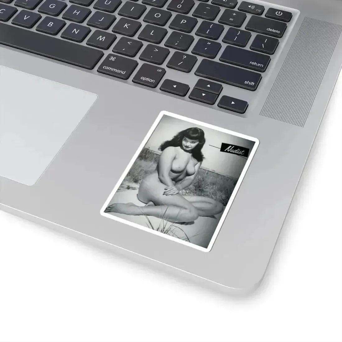 Bettie Page #248 (Vintage Female Icon) STICKER Vinyl Kiss-Cut Decal - The Sticker Space