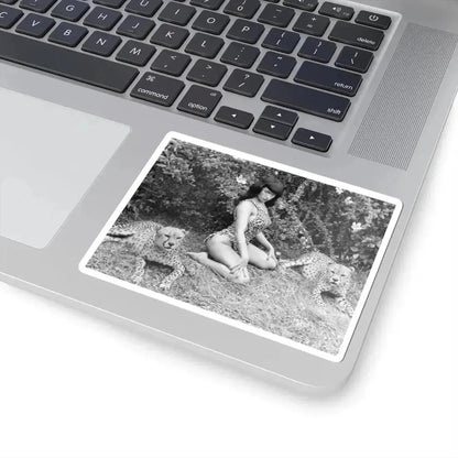Bettie Page #460 (Vintage Female Icon) STICKER Vinyl Kiss-Cut Decal - The Sticker Space