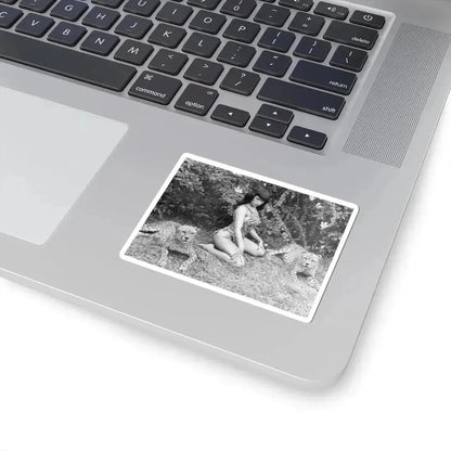 Bettie Page #460 (Vintage Female Icon) STICKER Vinyl Kiss-Cut Decal - The Sticker Space