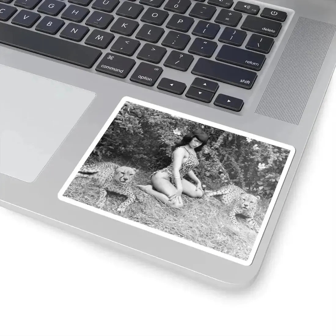 Bettie Page #460 (Vintage Female Icon) STICKER Vinyl Kiss-Cut Decal - The Sticker Space