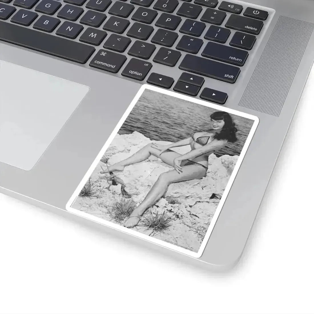 Bettie Page #499 (Vintage Female Icon) STICKER Vinyl Kiss-Cut Decal - The Sticker Space