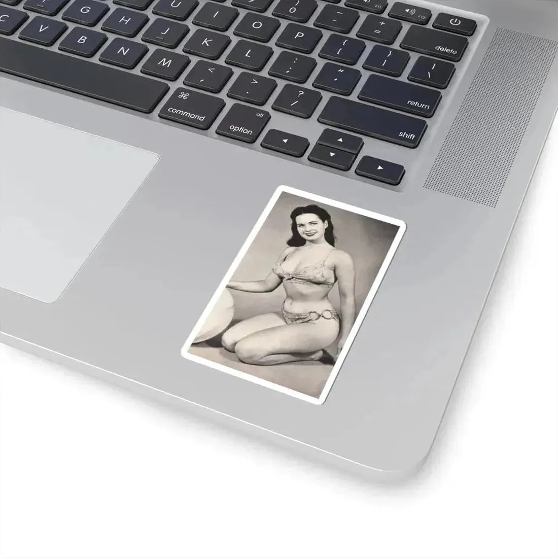 Bettie Page #564 (Vintage Female Icon) STICKER Vinyl Kiss-Cut Decal - The Sticker Space