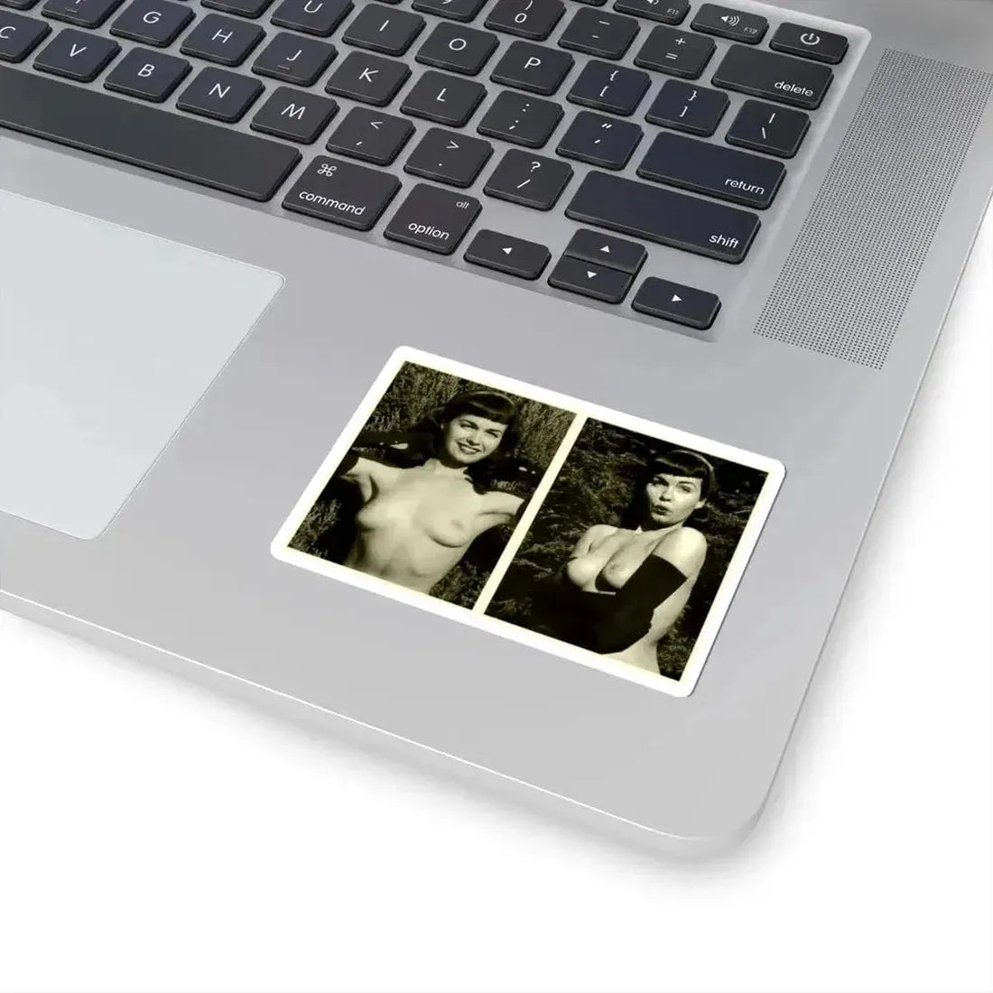Bettie Page #599 (Vintage Female Icon) STICKER Vinyl Kiss-Cut Decal - The Sticker Space