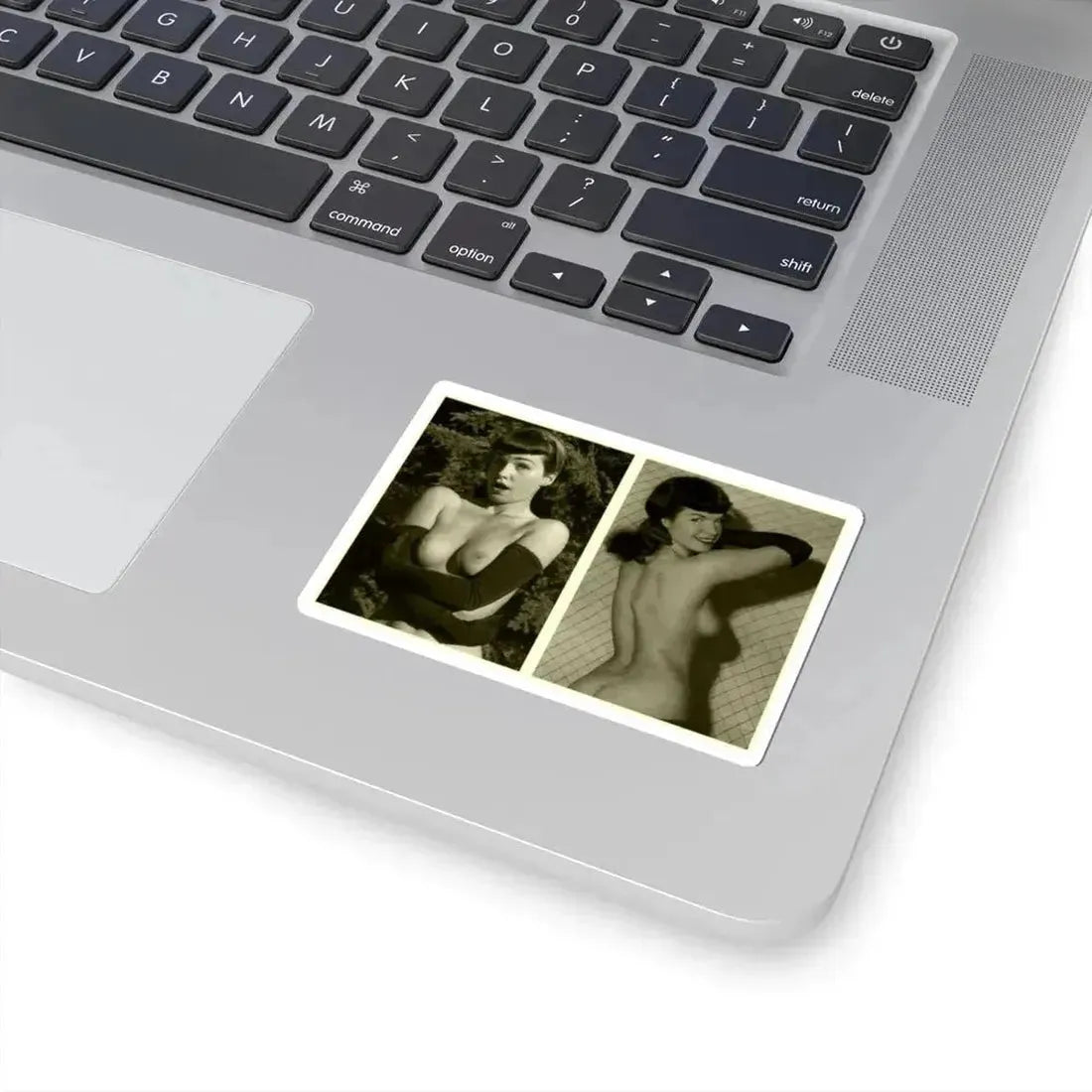 Bettie Page #600 (Vintage Female Icon) STICKER Vinyl Kiss-Cut Decal - The Sticker Space