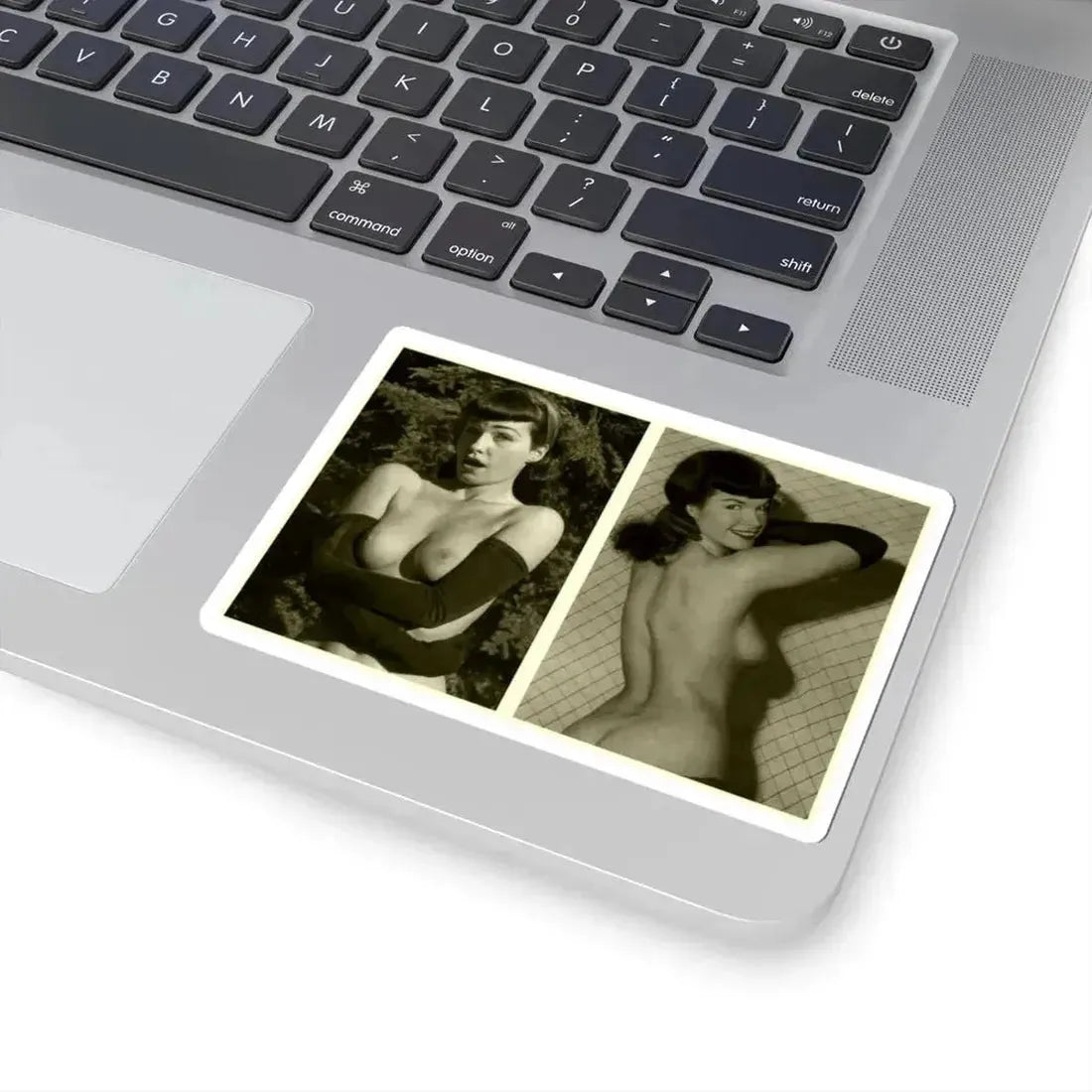 Bettie Page #600 (Vintage Female Icon) STICKER Vinyl Kiss-Cut Decal - The Sticker Space