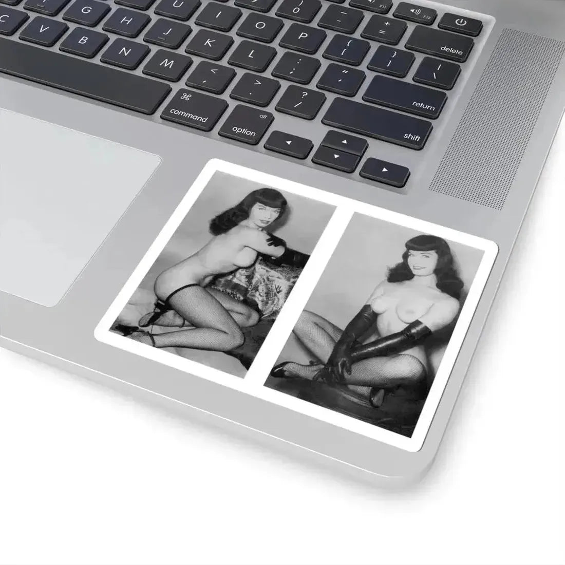 Bettie Page #607 (Vintage Female Icon) STICKER Vinyl Kiss-Cut Decal - The Sticker Space