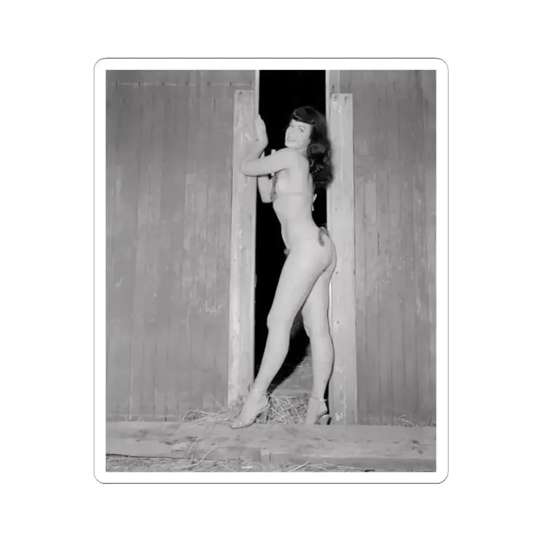 Bettie Page #632 (Vintage Female Icon) STICKER Vinyl Kiss-Cut Decal 2 Inch White - The Sticker Space