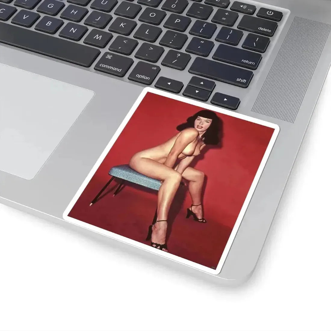 Bettie Page #670 (Vintage Female Icon) STICKER Vinyl Kiss-Cut Decal - The Sticker Space